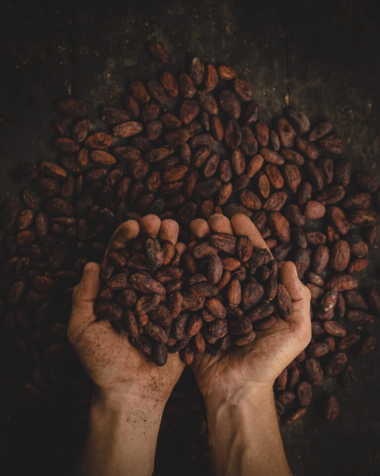 Read more about the article Cacao – One of my all time favourite nutrientes