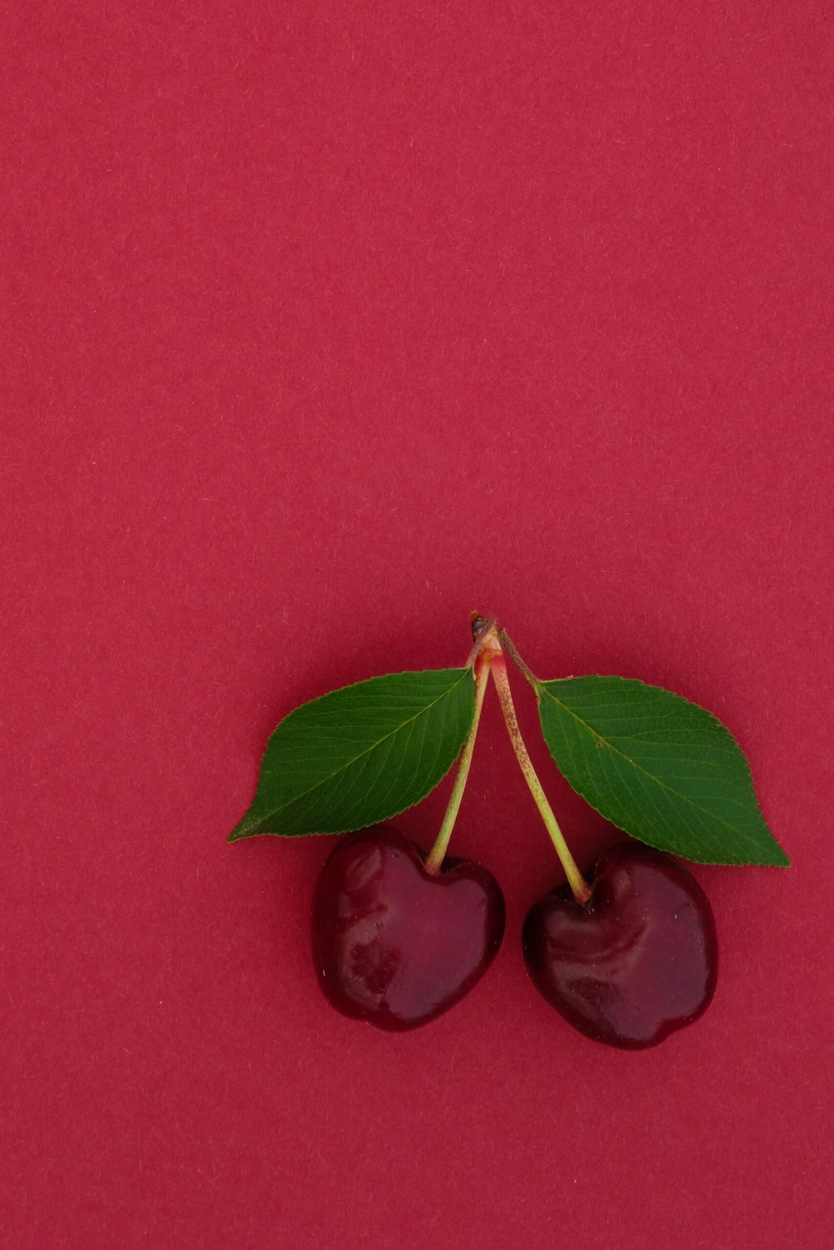 Read more about the article Cherries