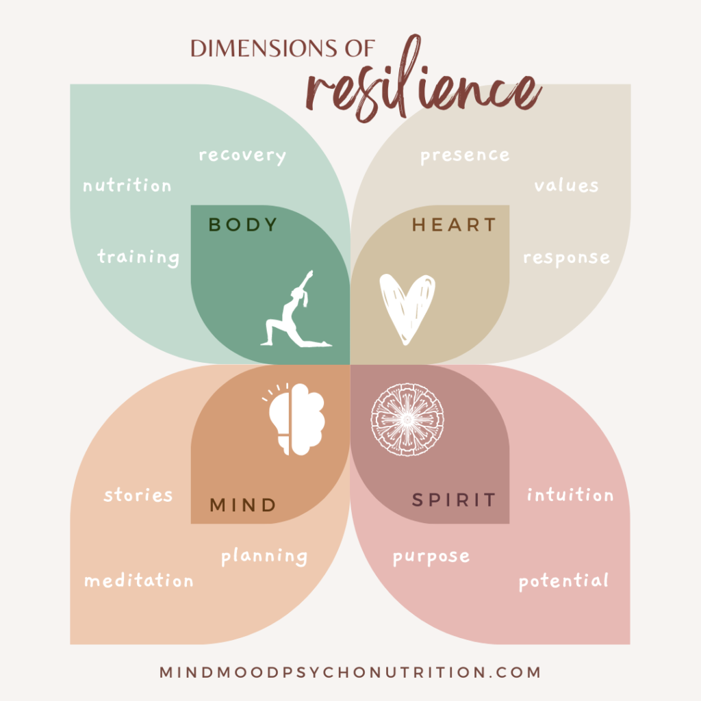 dimensions of resilience