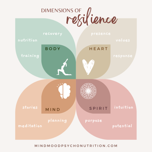 Pathway to Resilience: Understanding Resilience